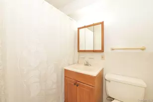 4 Birchwood Ct, Mineola, NY 11501 - Photo 12