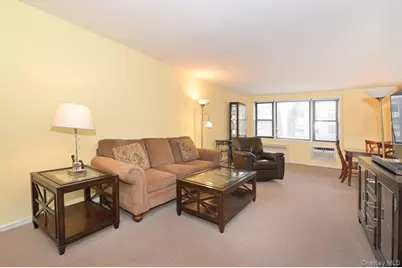 4 Birchwood Court #3J, Mineola, NY 11501 - Photo 2