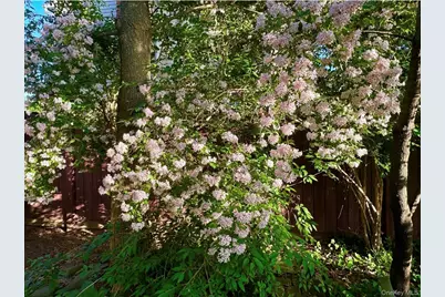 2452 Coolidge Avenue, North Bellmore, NY 11710 - Photo 22