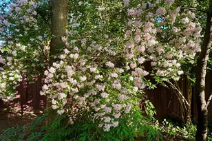 2452 Coolidge Ave, North Bellmore, NY 11710 - Photo 22