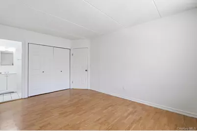 24 Palmetto Street, Brooklyn, NY 11221 - Photo 28