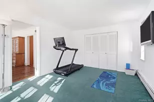 17 Emerson Pl, Harrison, NY 10528 - Photo 38