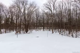 440 S Rd, Germantown, NY 12526 - Photo 28