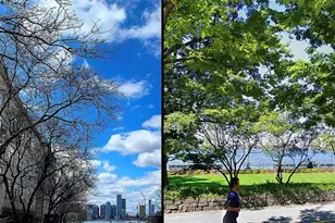 130 Barrow St, New York, NY 10014 - Photo 12