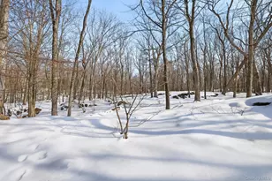 114 Old Lyme Rd, Chappaqua, NY 10514 - Photo 26