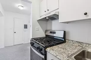 120 Horton Hwy, Mineola, NY 11501 - Photo 8