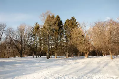 239 Pleasantvale Road, Clermont, NY 12583 - Photo 26