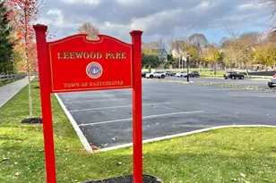 153 Montgomery Ave, Scarsdale, NY 10583 - Photo 14