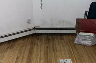 16 Park, Floral Park, NY 11001 - Photo 10