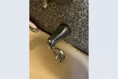 16 Park, Floral Park, NY 11001 - Photo 4