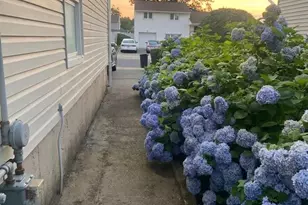 270 Nancy Dr, East Meadow, NY 11554 - Photo 32