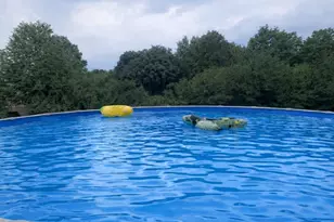 100 Watch Hill Dr, Fishkill, NY 12524 - Photo 46