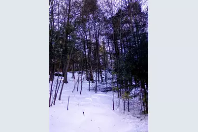 29 Schultz Road, Monticello, NY 12720 - Photo 16