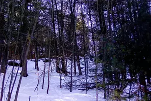 29 Schultz Rd, Monticello, NY 12720 - Photo 16