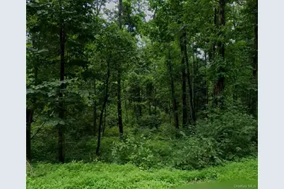 00 Silverlake Road, Rhinebeck, NY 12572 - Photo 2