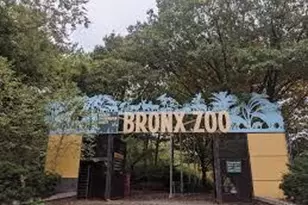 1627 Pilgrim Ave, Bronx, NY 10461 - Photo 20