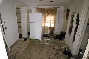 3141 Gunther Ave, Bronx, NY 10469 - Photo 10