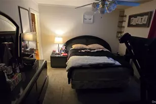 32 Butler Blvd, Elmont, NY 11003 - Photo 14