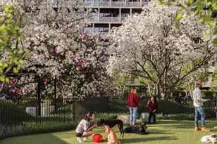 131-02B 40th Rd, Flushing, NY 11354 - Photo 26