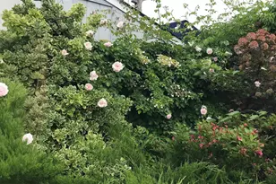 3348 3rd St, Oceanside, NY 11572 - Photo 30