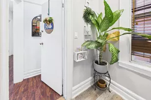 623 Baker Ave, Bronx, NY 10460 - Photo 4