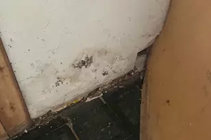 599 N Chodikee Lake Rd, Highland, NY 12528 - Photo 4