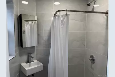 754 Manhattan Avenue #3L, Brooklyn, NY 11222 - Photo 8