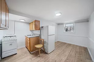 378 E 58th St, Brooklyn, NY 11203 - Photo 38