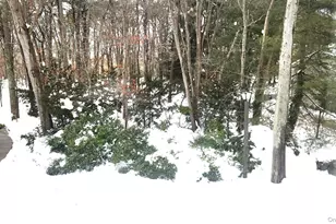 224H Springmeadow Dr, Holbrook, NY 11741 - Photo 14