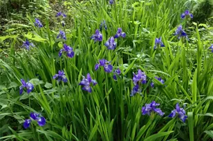 325 Haverstraw Rd, Montebello, NY 10901 - Photo 32