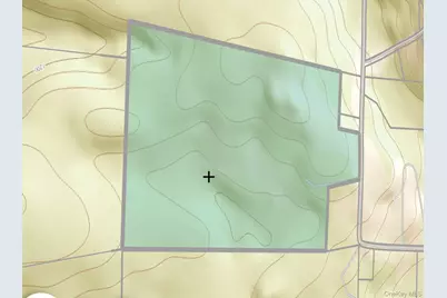 342 Bernas Road, Cochecton Center, NY 12726 - Photo 18