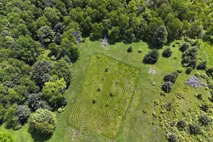 342 Bernas Rd, Cochecton Center, NY 12726 - Photo 16