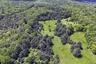 342 Bernas Rd, Cochecton Center, NY 12726 - Photo 48