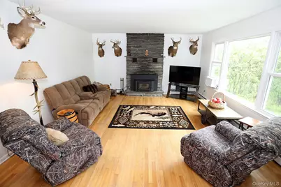 342 Bernas Road, Cochecton Center, NY 12726 - Photo 28