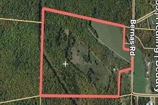 342 Bernas Rd, Cochecton Center, NY 12726 - Photo 44