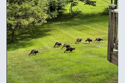 342 Bernas Road, Cochecton Center, NY 12726 - Photo 6