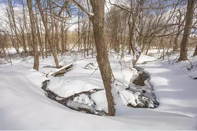 266 Layton Road, Stanford, NY 12581 - Photo 24