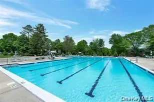 250 Artist Lake Dr, Middle Island, NY 11953 - Photo 16