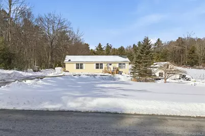 101 Ogden Road, Glen Spey, NY 12737 - Photo 2