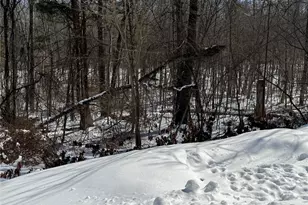 379 Ellen (Aka Forest Park) St, Wallkill, NY 12589 - Photo 18