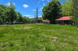 22 Smith St, Monticello, NY 12701 - Photo 12