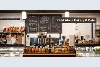 00 Primrose Hill Road, Rhinebeck, NY 12572 - Photo 16