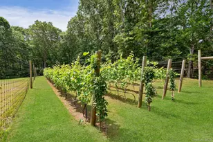 2905 Private Rd, East Marion, NY 11939 - Photo 28