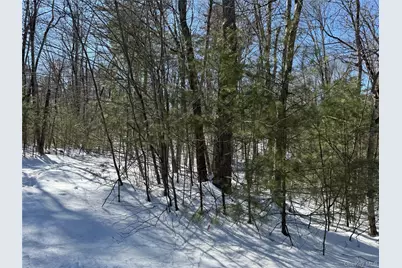 Lot 32 Woodstone Trail, Bethel, NY 12720 - Photo 8