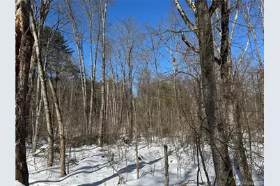 Lot 32 Woodstone Trail, Bethel, NY 12720 - Photo 10