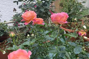 74 Brookline Ave, Long Beach, NY 11561 - Photo 26