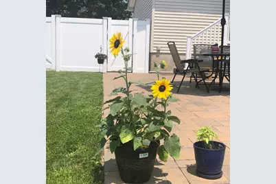 210 Bellerose Avenue, East Northport, NY 11731 - Photo 26