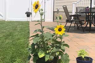 210 Bellerose Ave, East Northport, NY 11731 - Photo 26