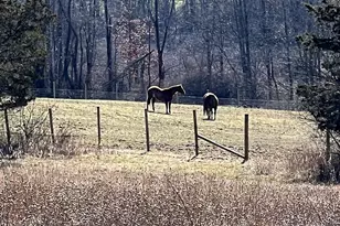 191 Forest Valley Rd, Pleasant Valley, NY 12569 - Photo 36