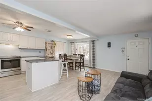 11 Olive St, Lake Grove, NY 11755 - Photo 8